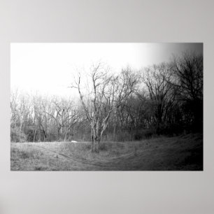 Póster Vento do inverno