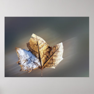 Poster vento e neve
