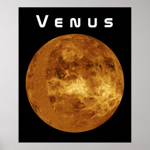 Póster Venus
