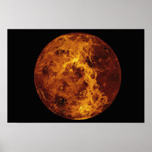 Póster Venus