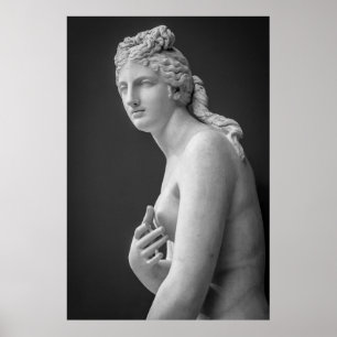 Poster Vênus