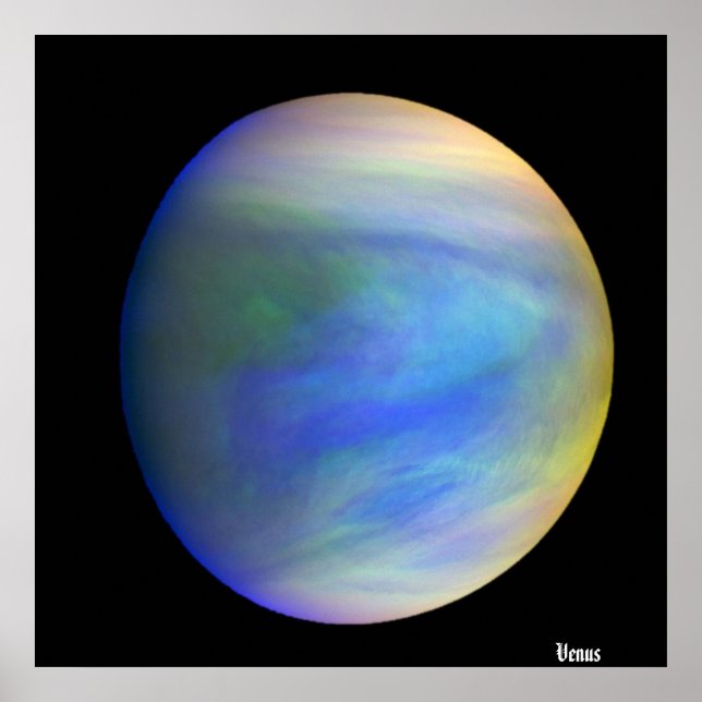 Poster Vênus / (Frente)