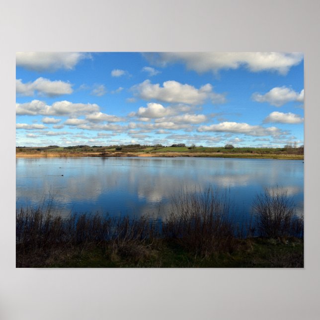 Poster Ver nas zonas úmidas (Frente)