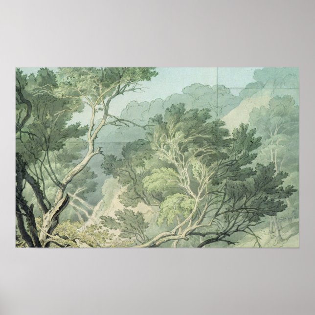 Poster Ver perto de Fordlands, Exeter (Frente)