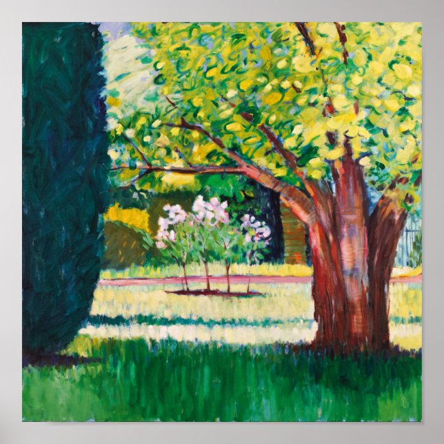 Poster Verão (Frente)