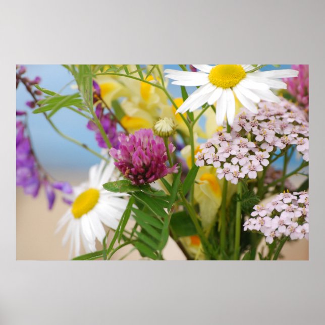 Póster Verão (Frente)