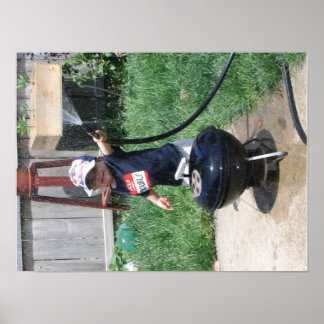 Póster Verão 07 188