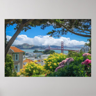Poster verão de São Francisco