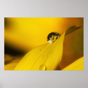 Póster Verão em uma gota II.