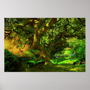 Póster Verão, Jardim Japonês de Portland, Portland