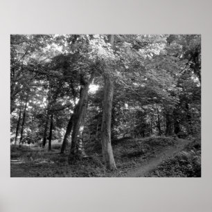 Poster Verão na Madeira