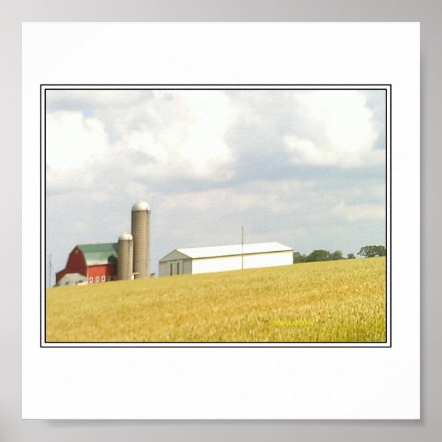 Póster Verão no País (Frente)