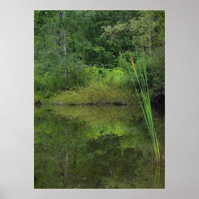 Poster Verão no Pond (Frente)