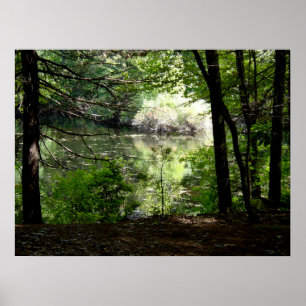 Poster Verão tardio em Walden Pond