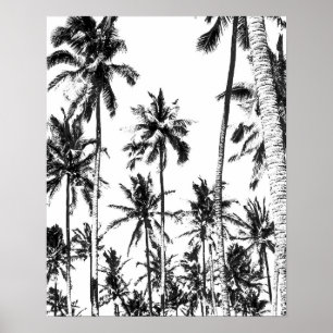Póster Verão tropical da palmeira preto e branco