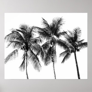 Poster Verão tropical de palmeira negra e branca