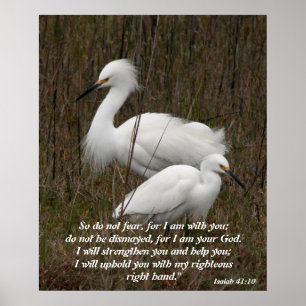 Poster Verdade do Espírito de Inspiração da Escritura Cri