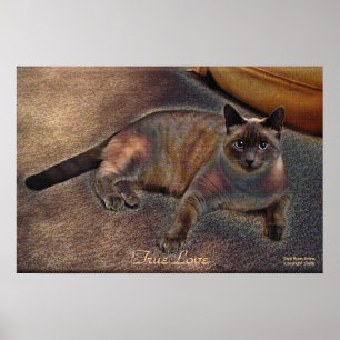 Poster VERDADEIRO da arte do gatinho do AMOR