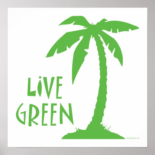 Póster Verde ao vivo - Árvore Palm (Frente)