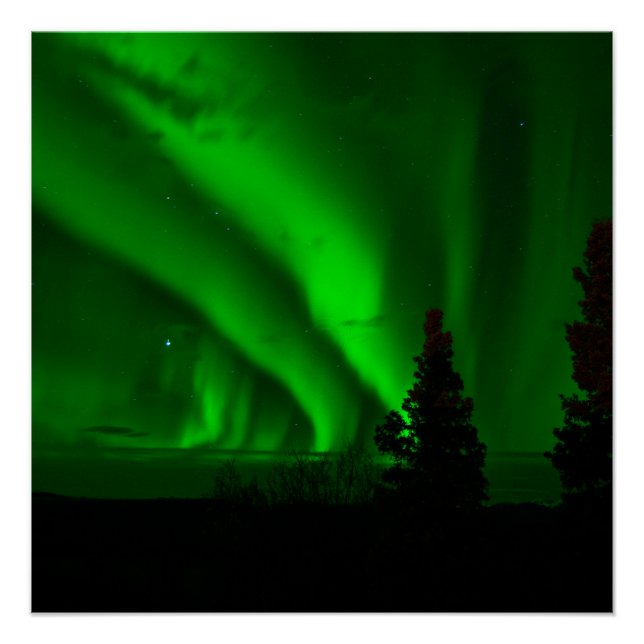 Póster verde aurora-borealis (Frente)