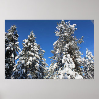 Poster verde da ponta da neve