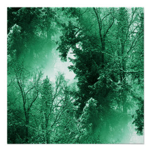 Póster Verde de inverno...