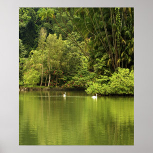 Poster verde do lago