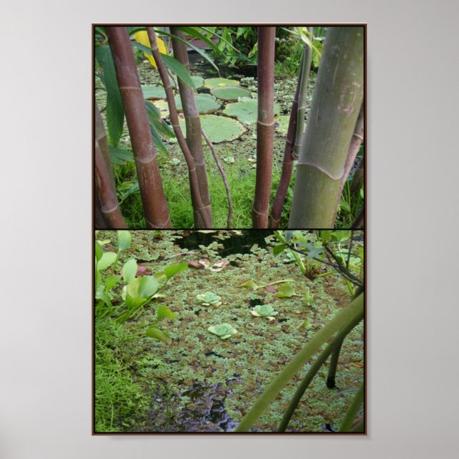 Poster verde em água (Frente)