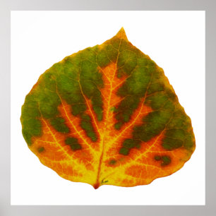 Poster Verde Laranja e Amarelo Aspen Folha #1