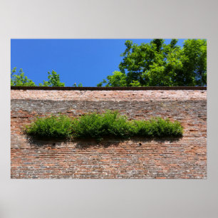 Póster verde no muro da velha fortaleza