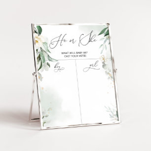 Poster Verde Sexo revela Gráfico de Menino ou Rapariga