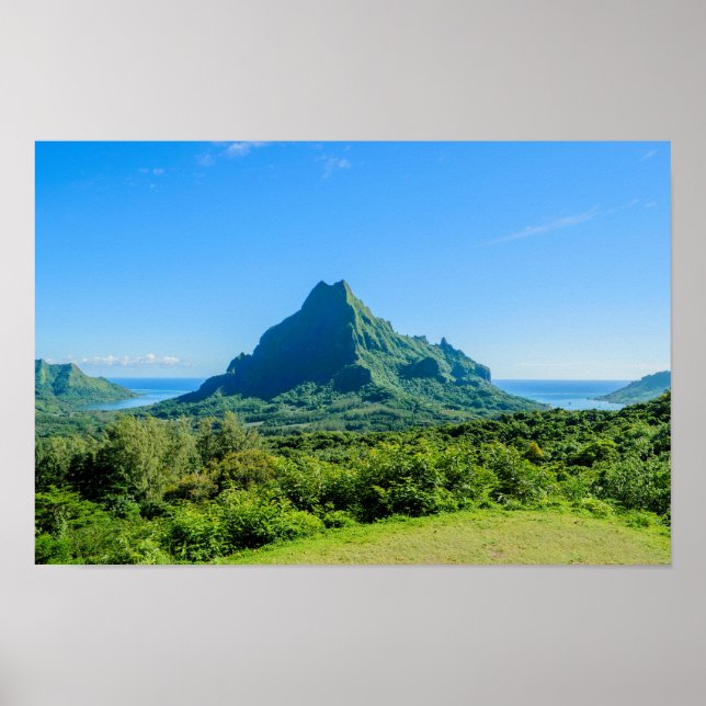 Poster verde-tropical Moorea (Frente)