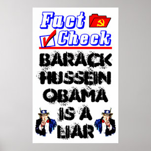 Póster Verificação do fato