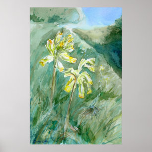 Póster Veris do Primula de Cowslips em um banco gramíneo