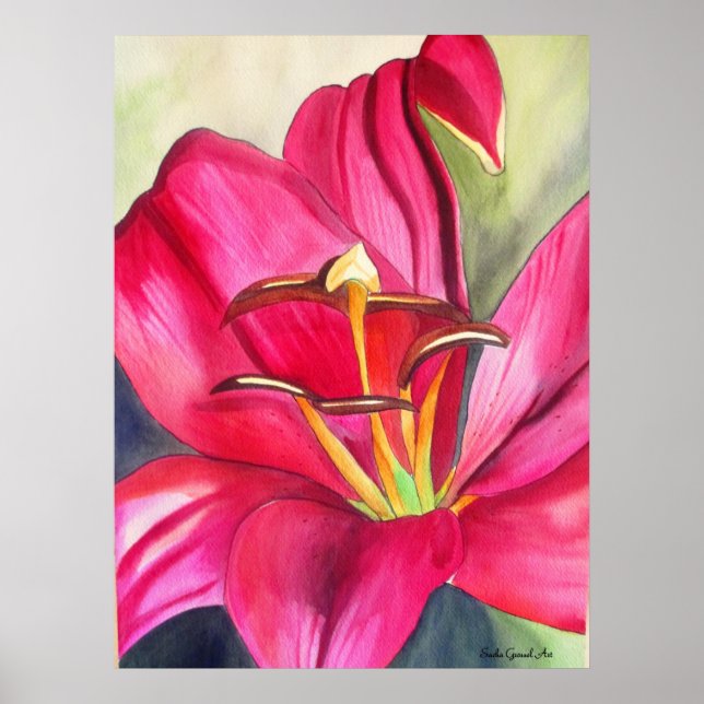 Póster Vermelho Alerta Lily - pintura em flor de aquarela (Frente)