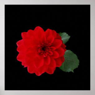 Póster vermelho brilhante