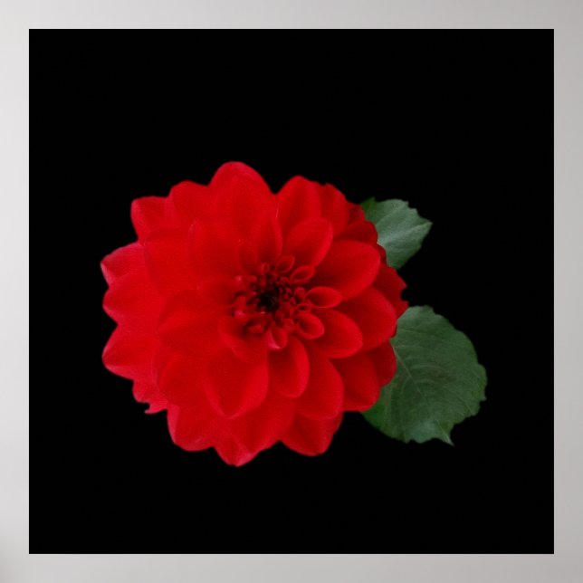 Póster vermelho brilhante (Frente)