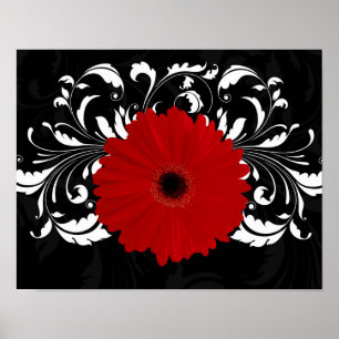 Póster Vermelho brilhante Gerbera Daisy em preto