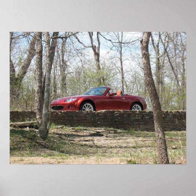 Poster Vermelho Cobre (Frente)