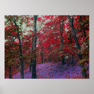 Poster vermelho da floresta da árvore