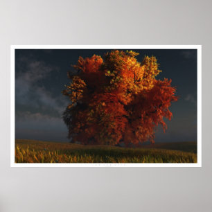 Póster Vermelho e Dourado