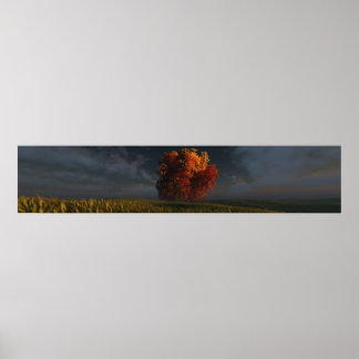 Poster Vermelho e Dourado (Triplo Largura)