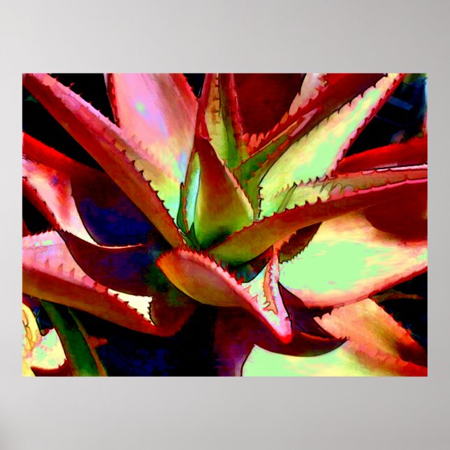 Poster Vermelho e Verde Agave (Frente)