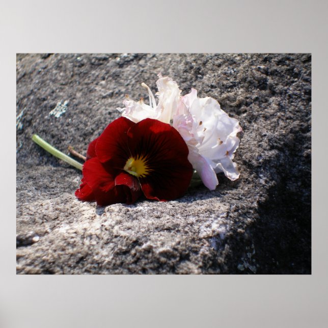 Póster Vermelho-n-branco (Frente)