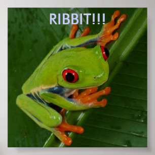 Póster Vermelho-Olho-Árvore-Sapo, RIBBIT!!!