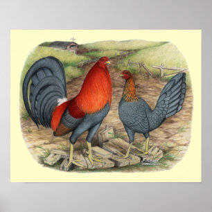 Póster Vermelhos azuis do jogo americano