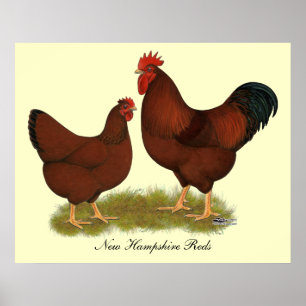 Poster Vermelhos de New Hampshire