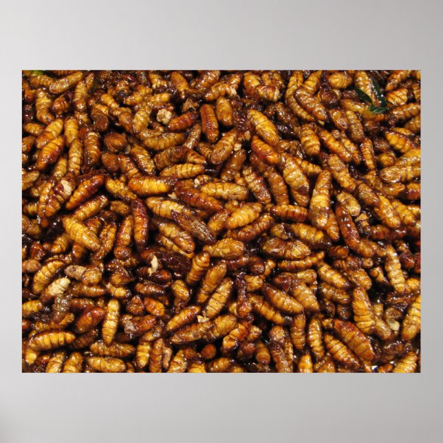 Póster Vermes de Seda Secos... Comida da Rua Tailandesa (Frente)
