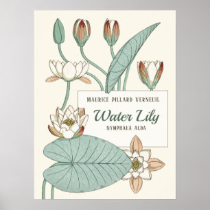 Poster Verneuil Lily Clorosa Arte Nouveau Flores