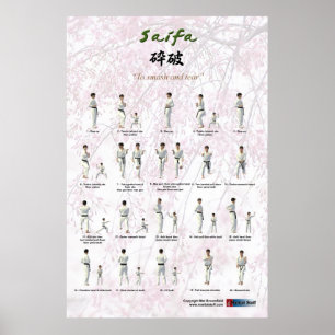Póster Versão de Kata Saifa - de Goju Ryu